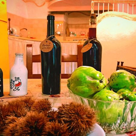 萨萨里Casa Ele - The Alchemist'S House - Bikes Friendly -公寓 外观 照片
